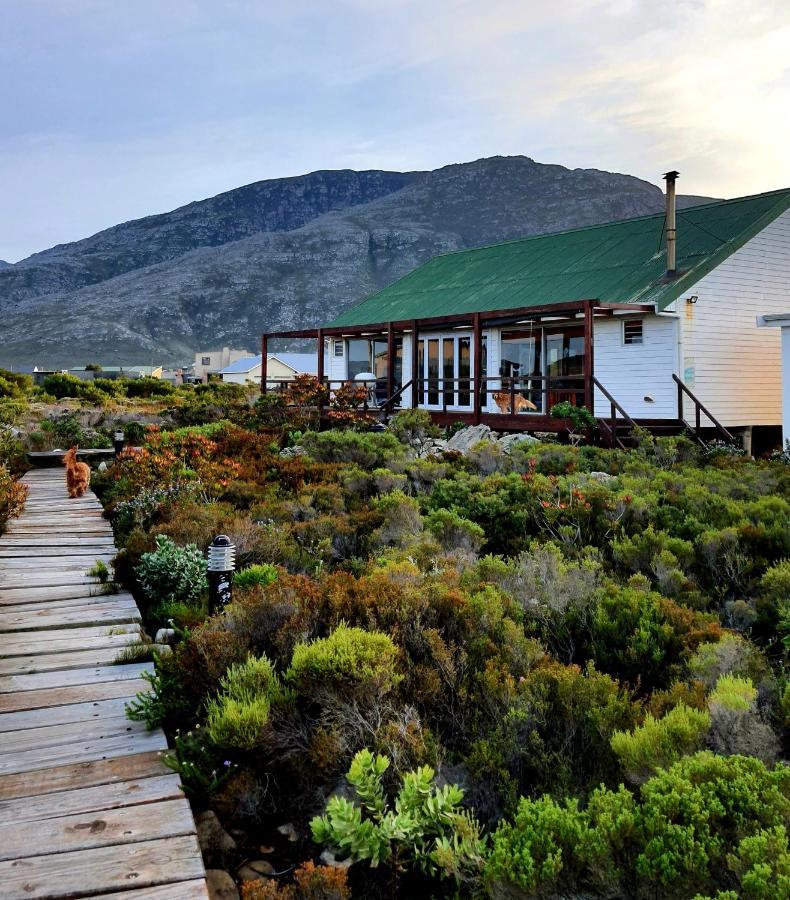 Brandys Beach House Bettyʼs Bay Exteriör bild